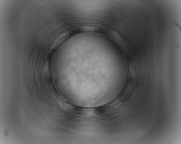 X0000101210377200807111039