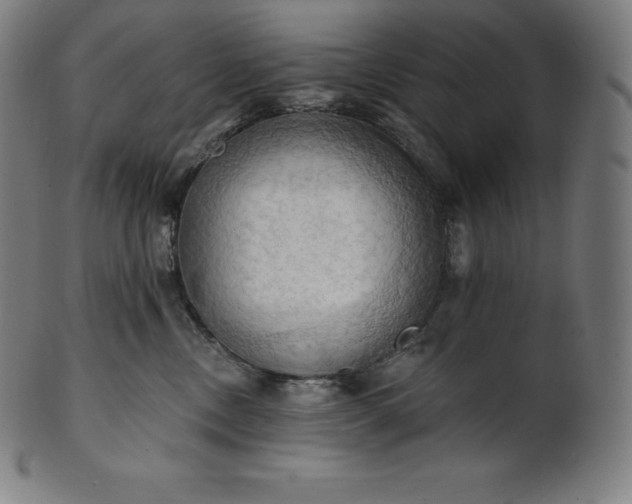 X0000101210378200807111039