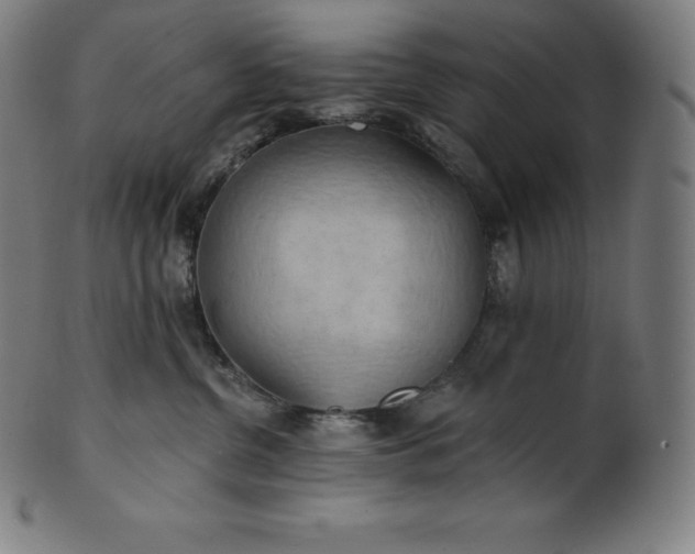 X0000101210380200807111039