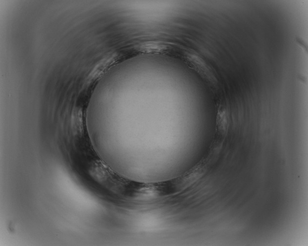 X0000101210381200807111039