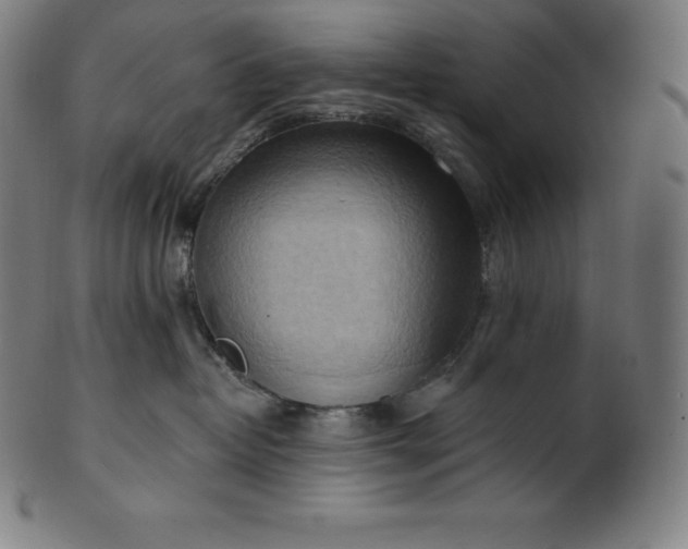 X0000101210382200807111039