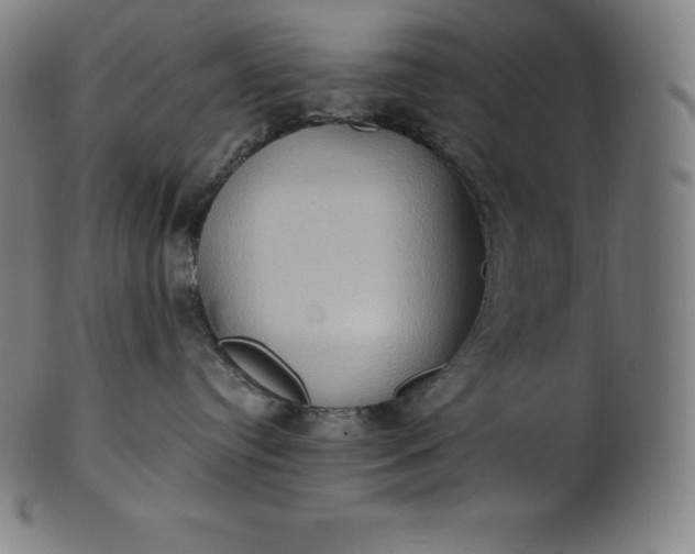 X0000101210384200807111039