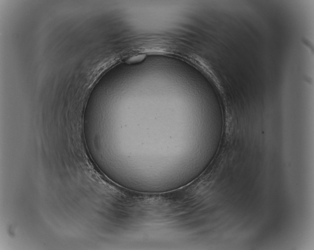 X0000101210385200807111038