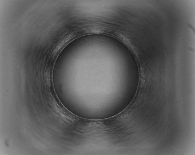 X0000101210386200807111038