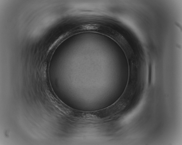 X0000101210387200807111038