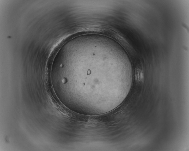 X0000101210388200807111038