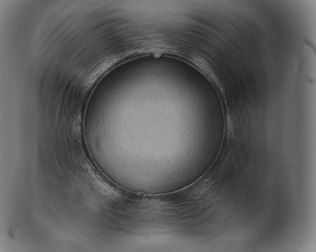 X0000101210389200807111038