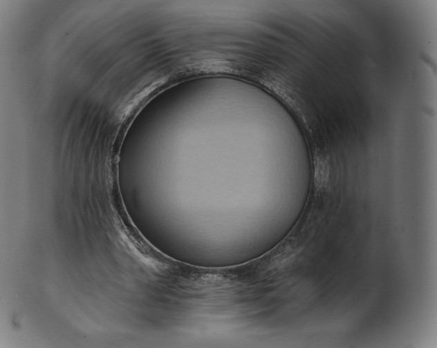 X0000101210390200807111038