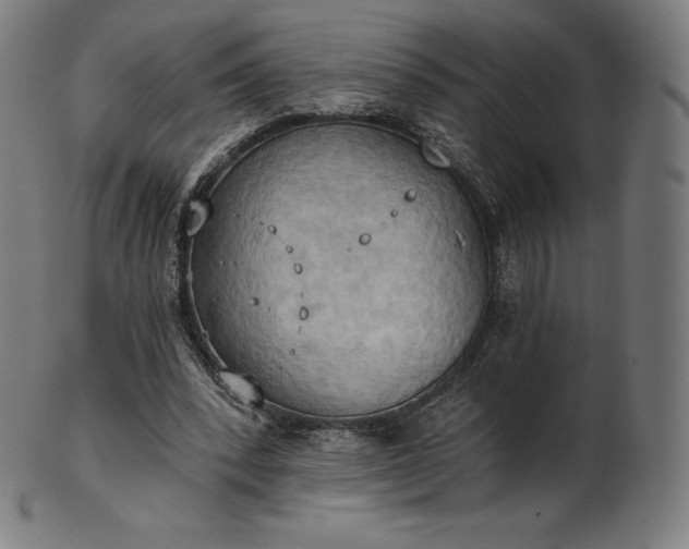 X0000101210392200807111038