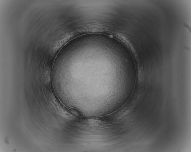 X0000101210393200807111038