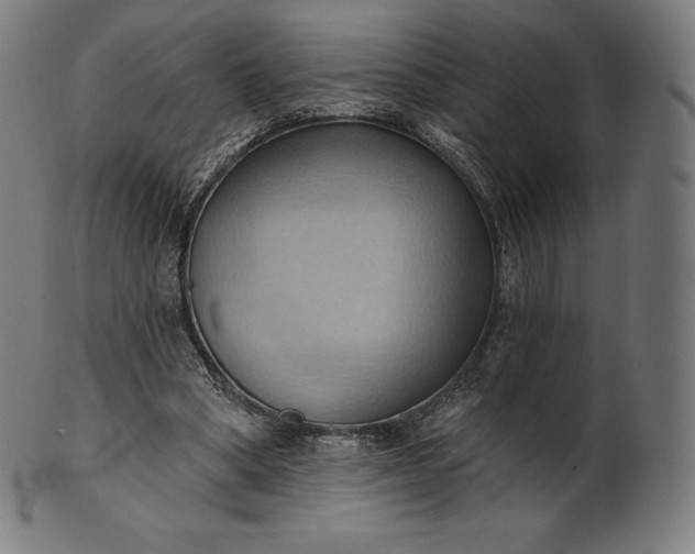 X0000101210394200807111038