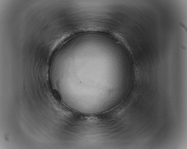 X0000101210395200807111038