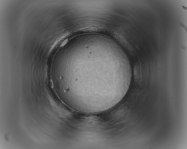 X0000101210396200807111038