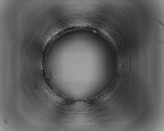 X0000101210399200807111038