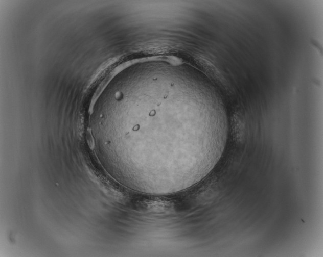 X0000101210400200807111038