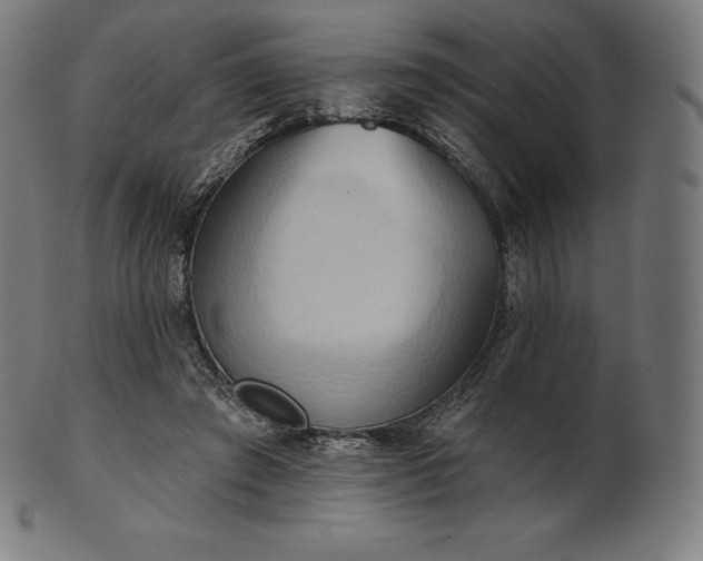 X0000101210401200807111038