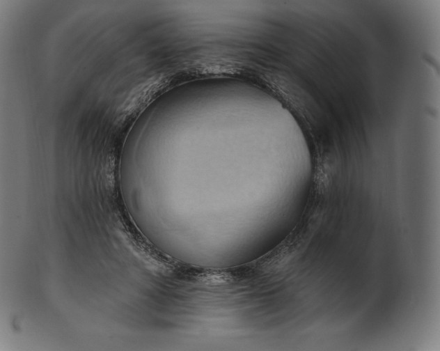 X0000101210402200807111038