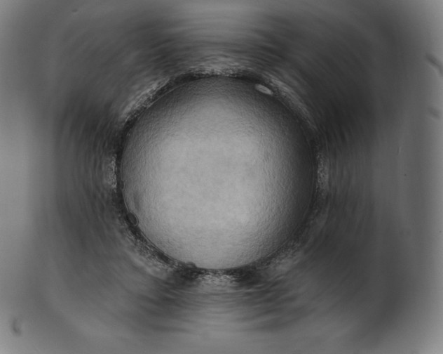 X0000101210403200807111038