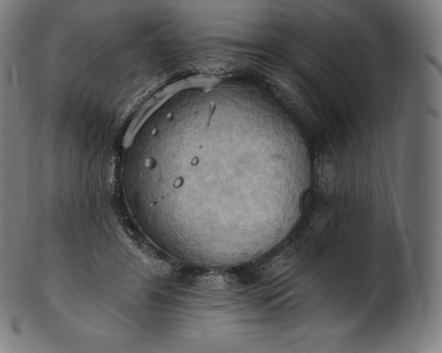 X0000101210404200807111038