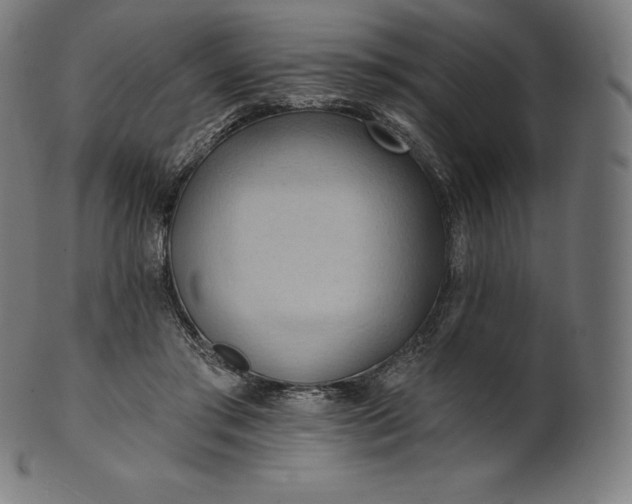 X0000101210405200807111038