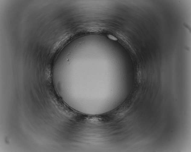 X0000101210407200807111038