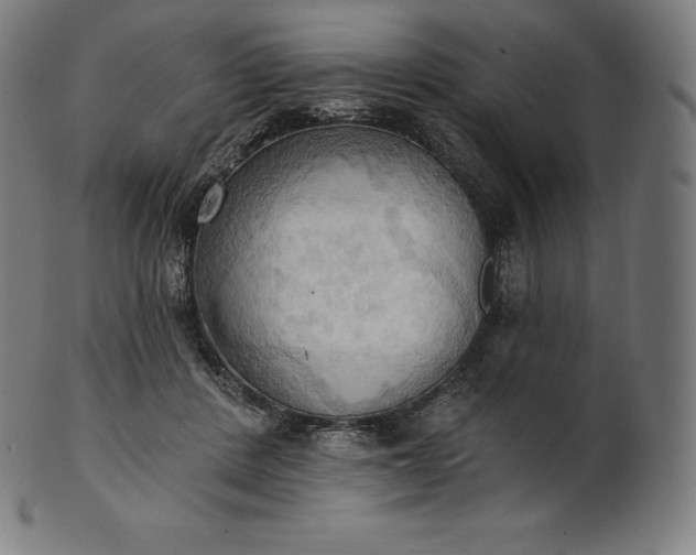 X0000101210408200807111038