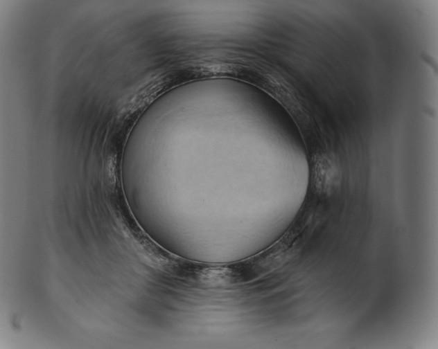 X0000101210410200807111038