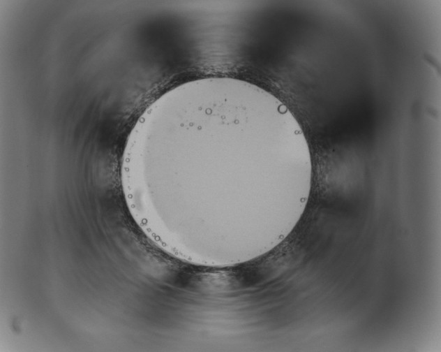 X0000101210411200807111038