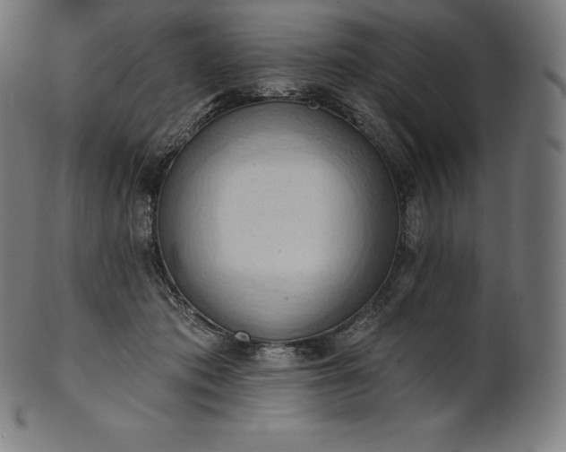 X0000101210413200807111038