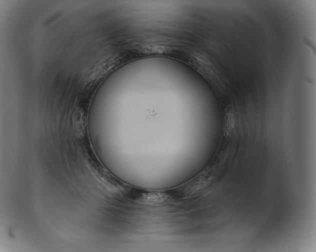 X0000101210414200807111038