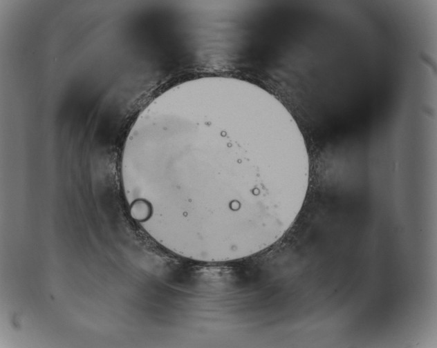 X0000101210415200807111038