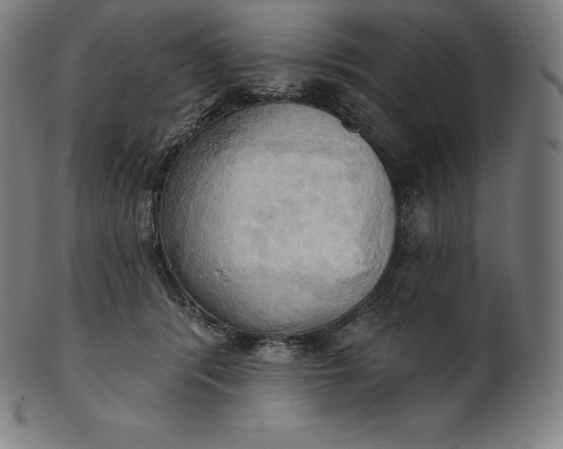 X0000101210416200807111038