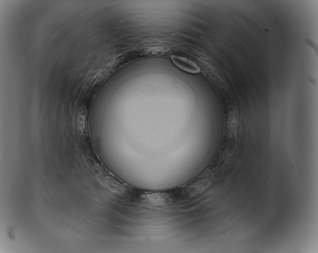 X0000101210417200807111038