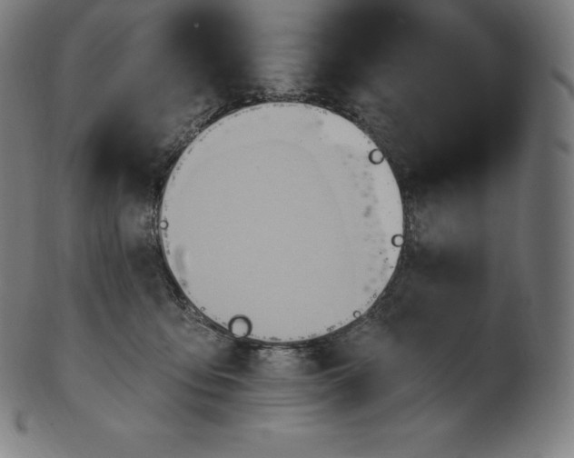 X0000101210419200807111038