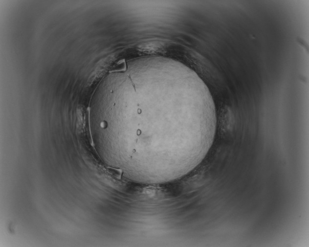 X0000101210420200807111038