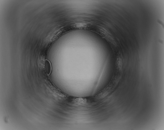 X0000101210421200807111038