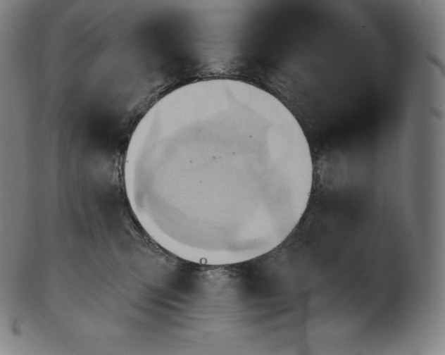 X0000101210423200807111038