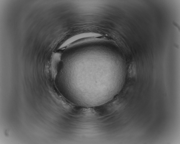 X0000101210424200807111038