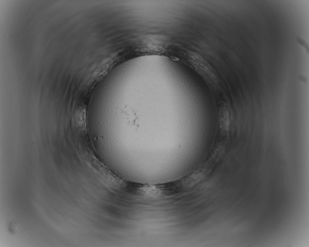 X0000101210425200807111038