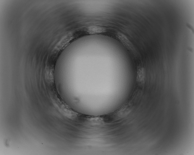 X0000101210426200807111038