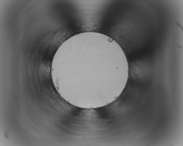 X0000101210427200807111038