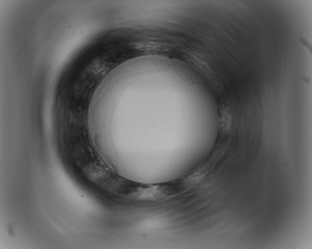 X0000101210430200807111038