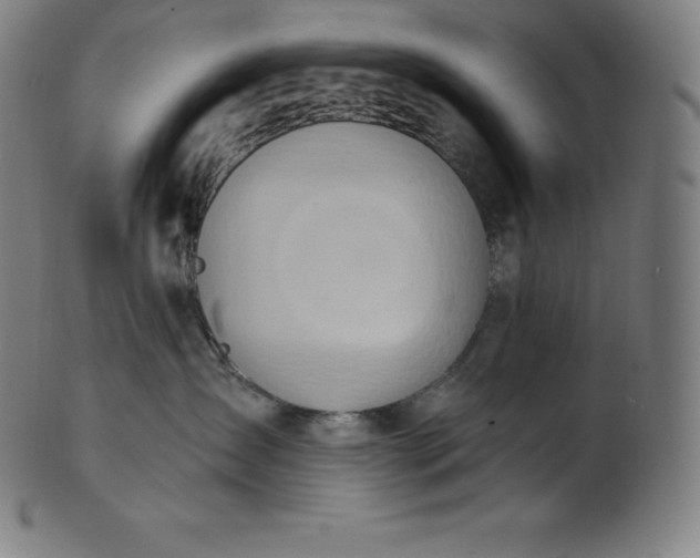 X0000101210431200807111038