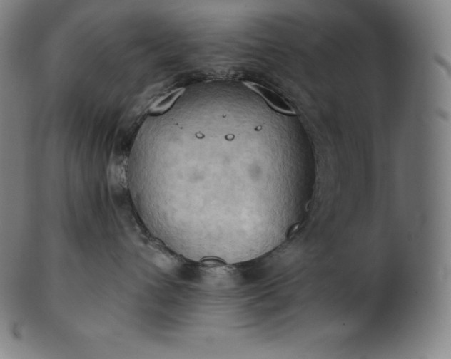 X0000101210432200807111037