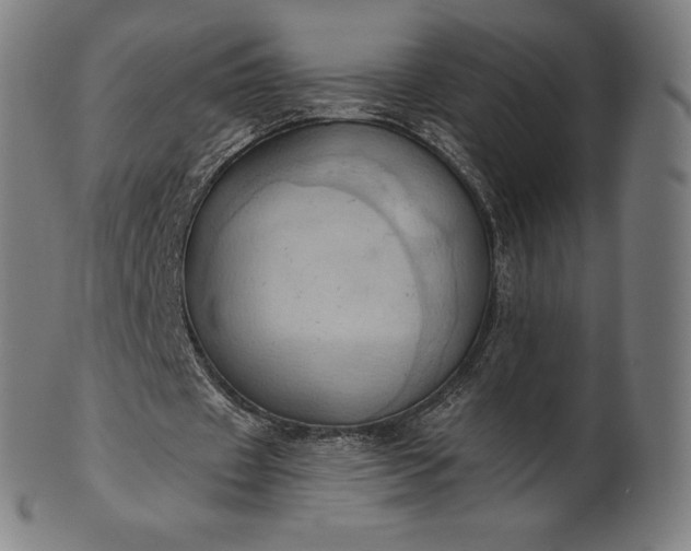 X0000101210433200807111037