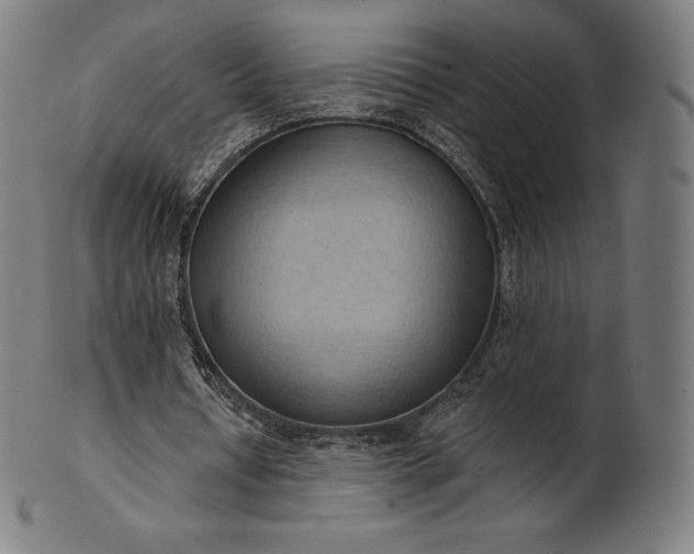 X0000101210434200807111037