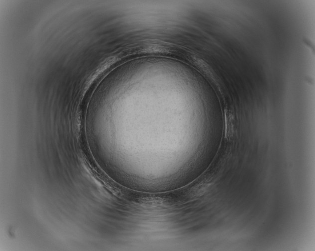 X0000101210435200807111037