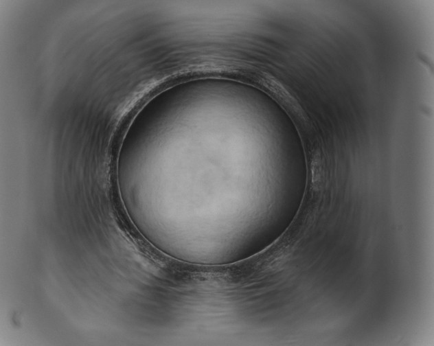 X0000101210436200807111037