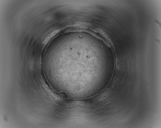 X0000101210437200807111037