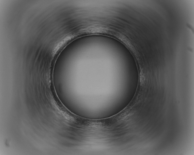 X0000101210438200807111037